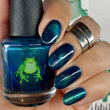 Load image into Gallery viewer, Blue Morph Bullfrog